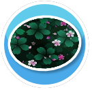 nu rug5