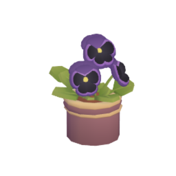 Potted Pansy Flowers